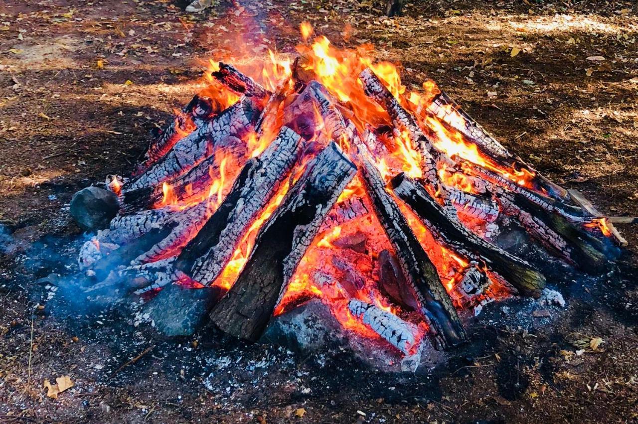Willa Het Hilkensberg Park Broekhuizen  Zewnętrze zdjęcie