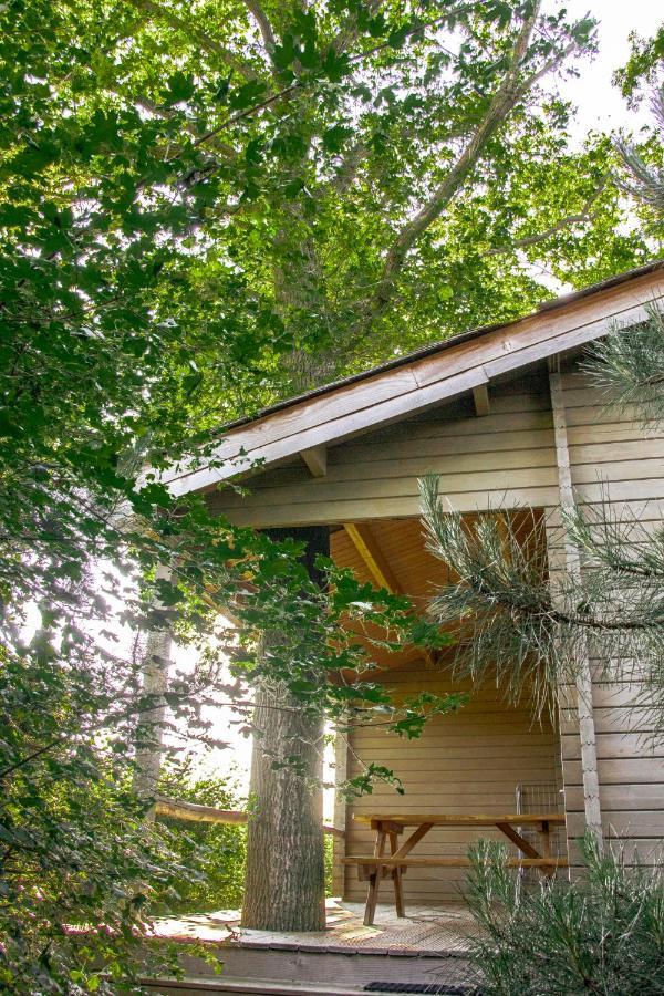 Willa Het Hilkensberg Park Broekhuizen  Zewnętrze zdjęcie