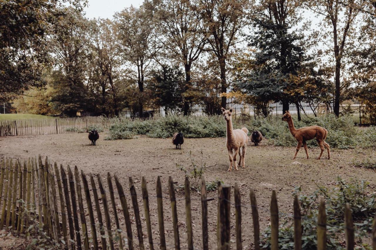 Willa Het Hilkensberg Park Broekhuizen  Zewnętrze zdjęcie