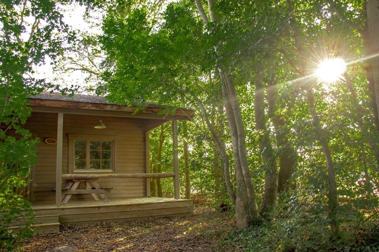 Willa Het Hilkensberg Park Broekhuizen  Zewnętrze zdjęcie