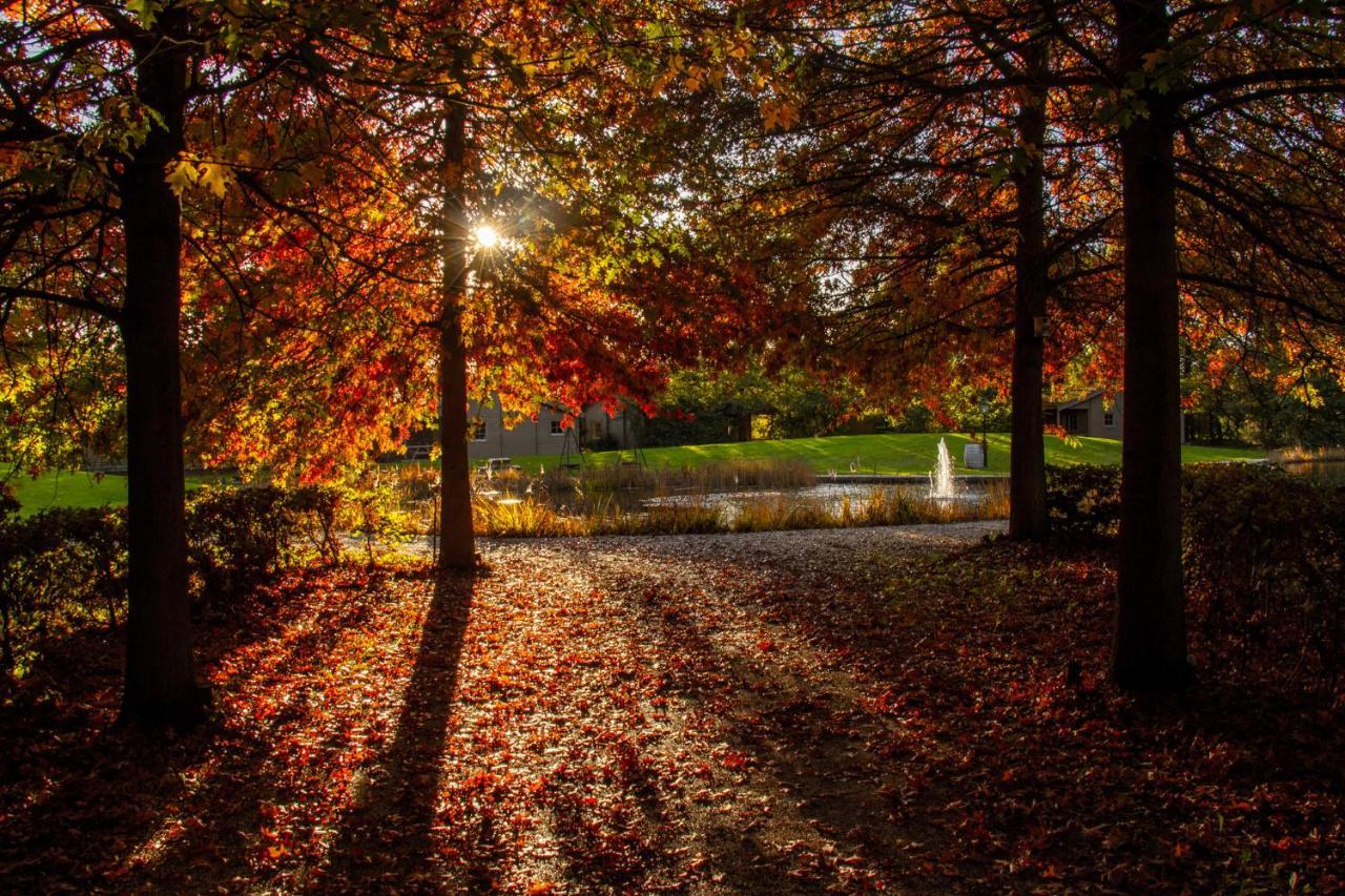 Willa Het Hilkensberg Park Broekhuizen  Zewnętrze zdjęcie