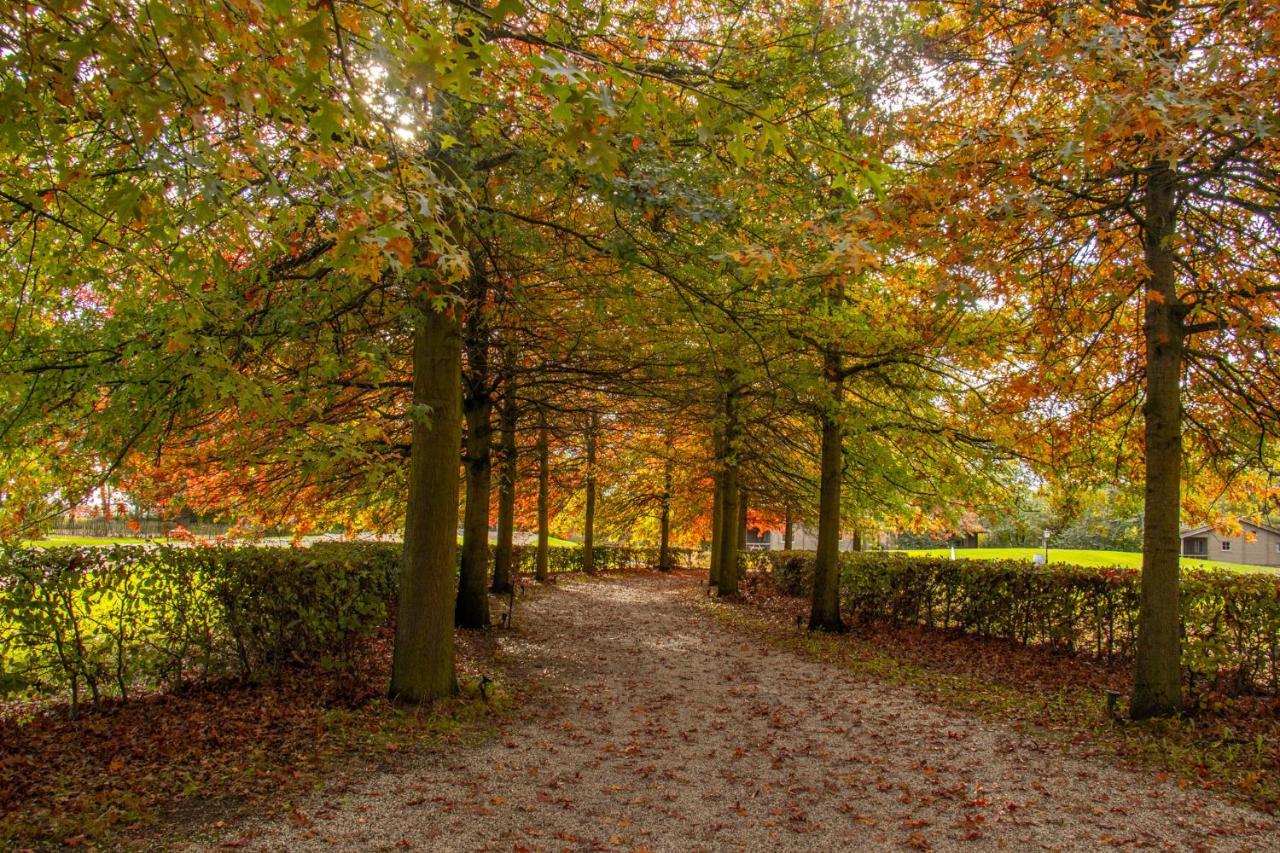 Willa Het Hilkensberg Park Broekhuizen  Zewnętrze zdjęcie