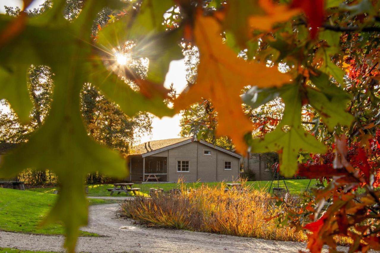 Willa Het Hilkensberg Park Broekhuizen  Zewnętrze zdjęcie